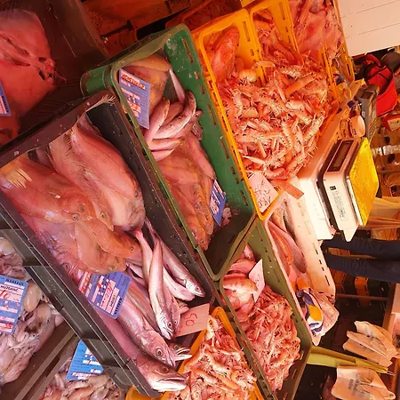 파일론 룸스 게스트하우스 스플리트