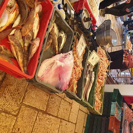 파일론 룸스 게스트하우스 4*