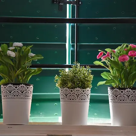 파일론 룸스 4* 스플리트